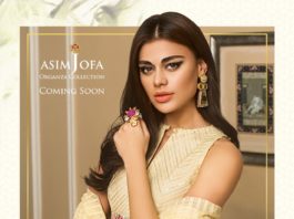 asim jofa lawn dresses 2019 organza collection